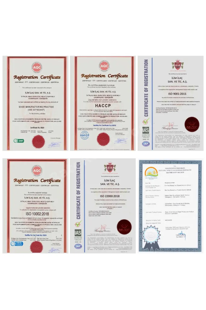 Collagen Multi Collagen 5 Kutu 300 Bitkisel Kapsül – Kolajen Takviye Edici Gıda