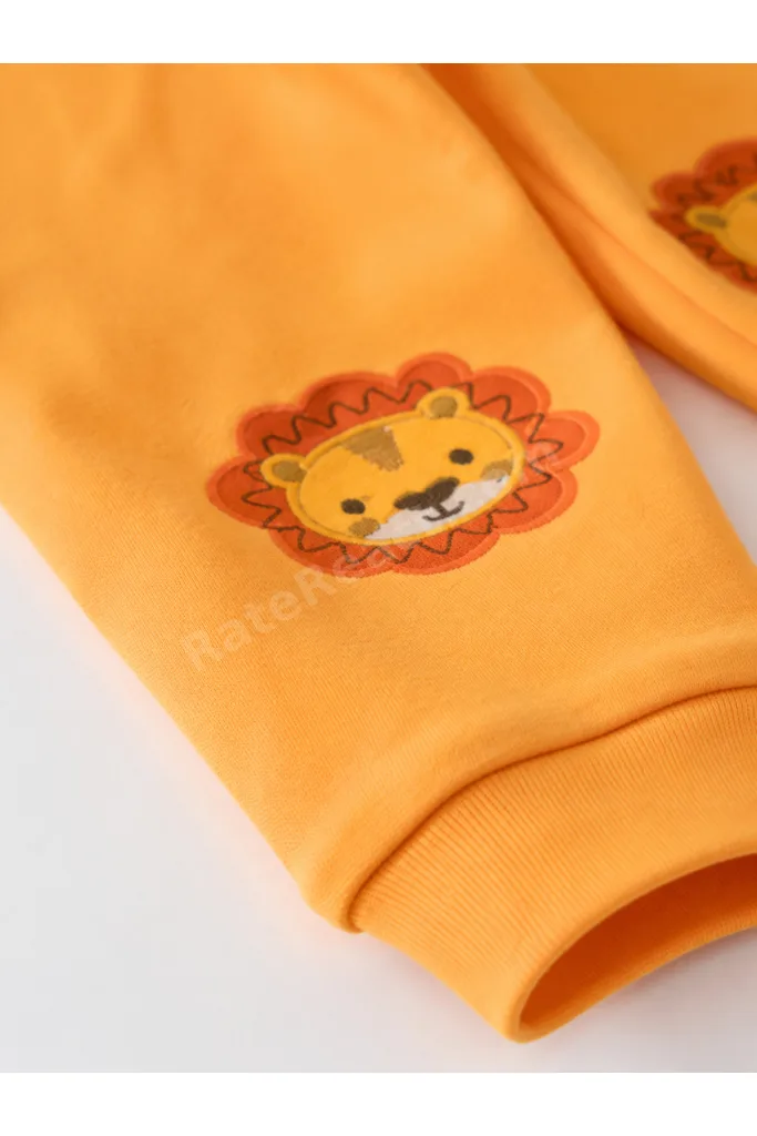 Aslan Baskı Desenli Üçlü Takım Yenidoğan Bebek Takımı | 0-6 Ay | Pamuklu 6'lı Set