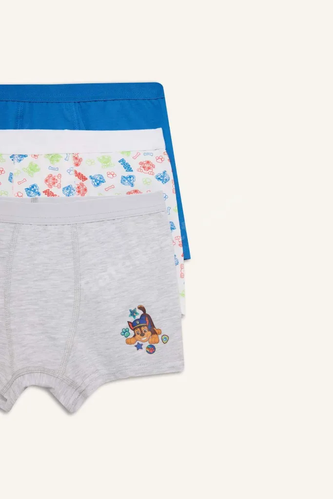 Paw Patrol Lisanslı Desenli 3'lü Mavi Boxer Erkek Çocuk C2901A824SM