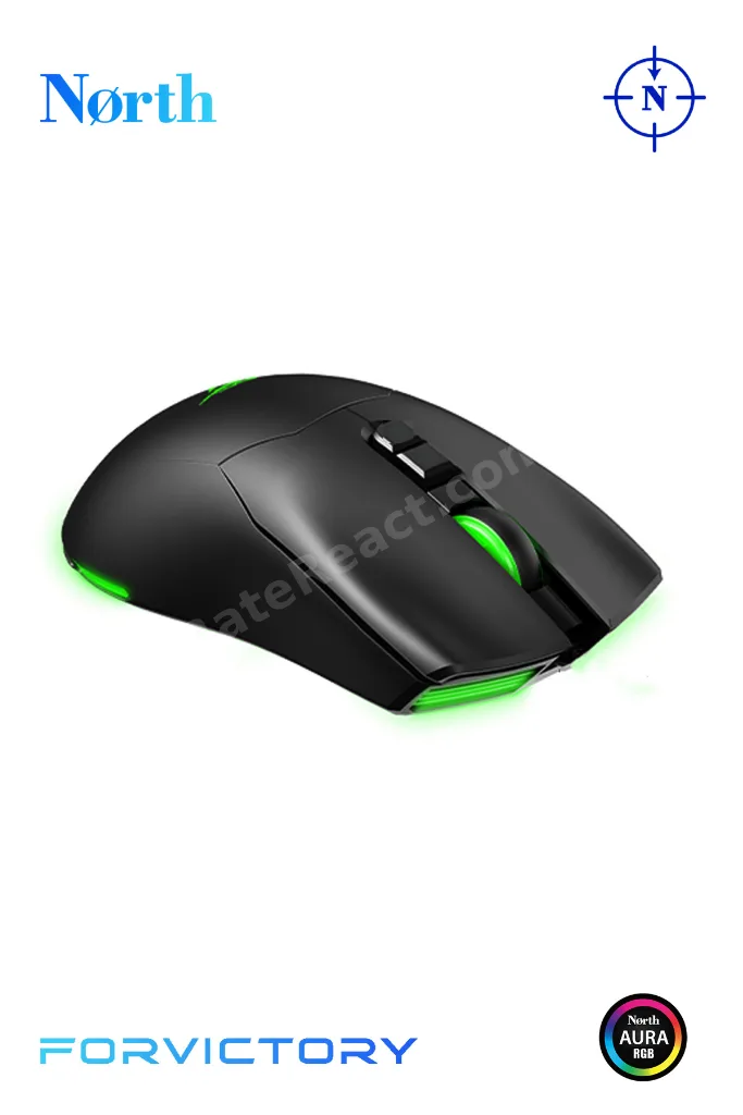 Game Over PRO WL 24.000 DPI 750 IPS 75G RGB Kablosuz FPS Gaming Oyuncu Mouse