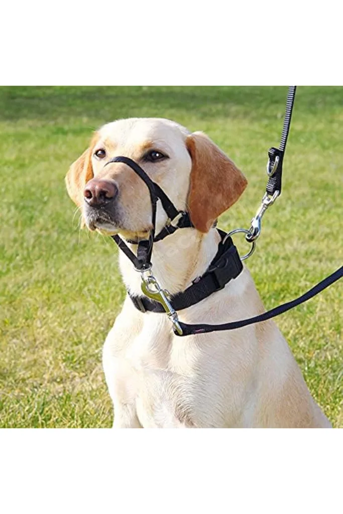 TTKTEKNOLOJİ Uzman Köpek Eğitim Tasması L-Xl 37Cm TTKTEKNOLOJİ 2026 395519