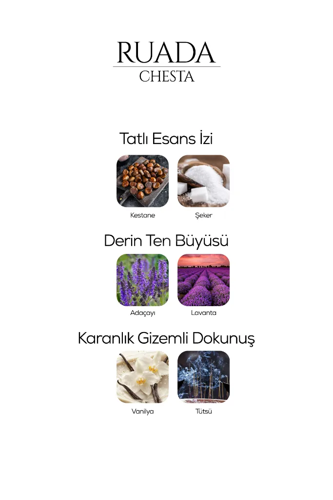 Chesta Erkek Parfüm 50 ML – Baharatlı, Odunsu Notalı Kalıcı EDP Parfüm