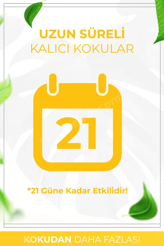 Şeftali Esintisi Çubuklu Oda Kokusu Bambu Kokusu Peach Breeze Reed Diffuser 50ml