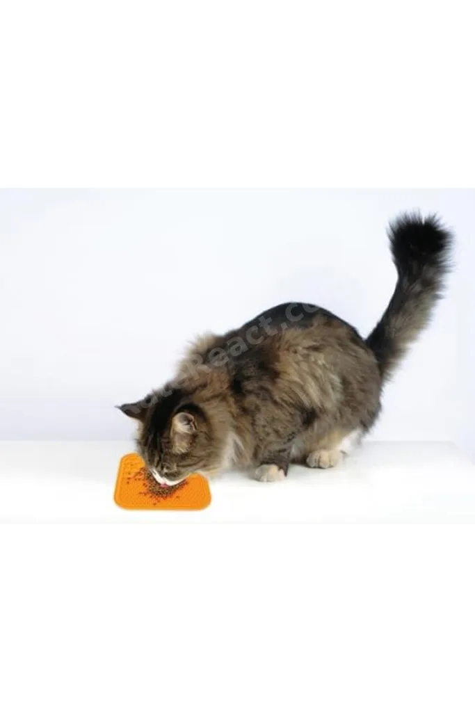 TTKTEKNOLOJİ M-Pets Lecca Sıvı Ödül Matı Turuncu M TTKTEKNOLOJİ 2026 395519