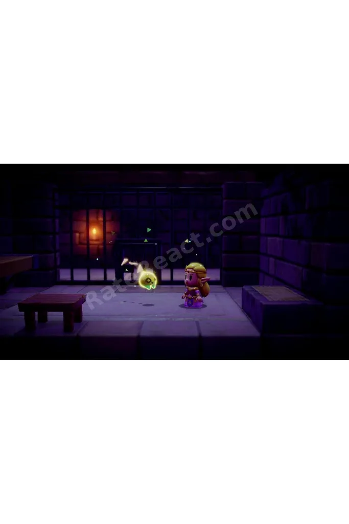 The Legend Of Zelda: Echoes Of Wisdom Switch Oyun