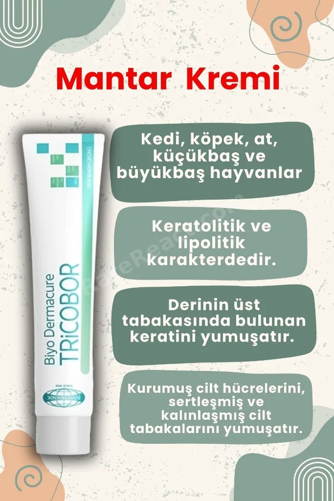 Tricobor Kedi Ve Köpekler Için Mantar Kremi Deri Kremi 80 gr X 1 Adet