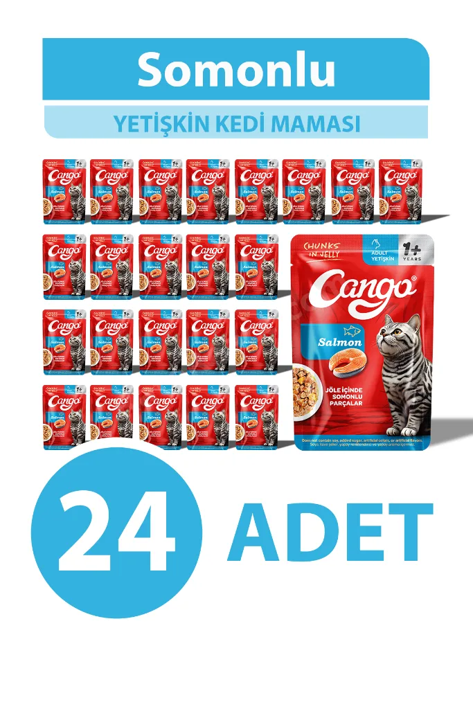Yaş Yetişkin Kedi Maması Somonlu 80 GR 24 Adet