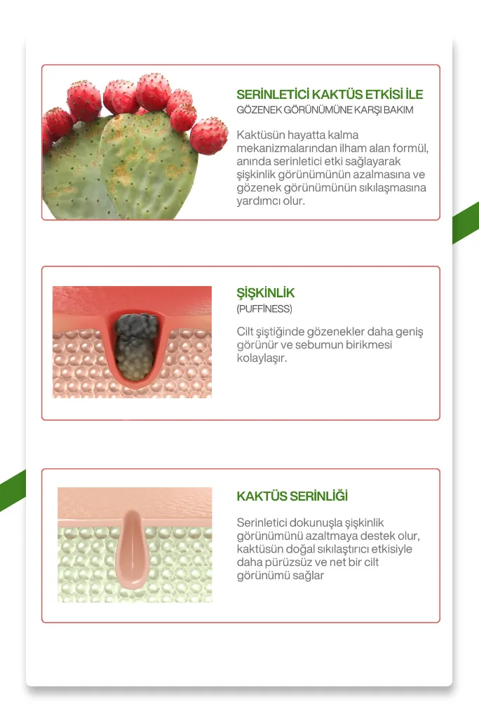 Kaktüs Özlü | Gözenek Sıkılaştırıcı | Serinletici | Cactox Multi Balm 25gr