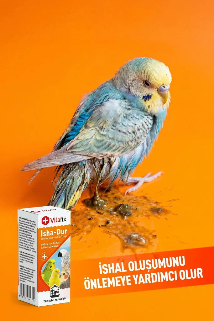 Isha-dur - Kuşlar Için Bağırsak Ve Sindirim Sistemi Düzenleyici - Ishal Gidermeye Yardımcı