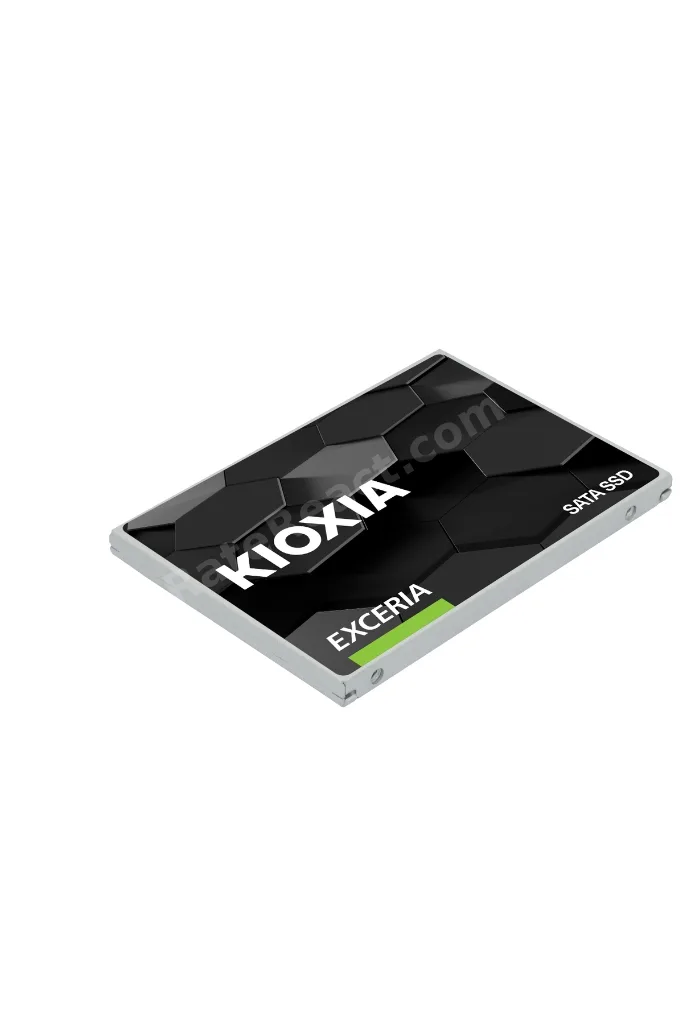 960GB EXCERIA 2.5" 3D 555/540 MB/sn 3Yıl (LTC10Z960GG8)