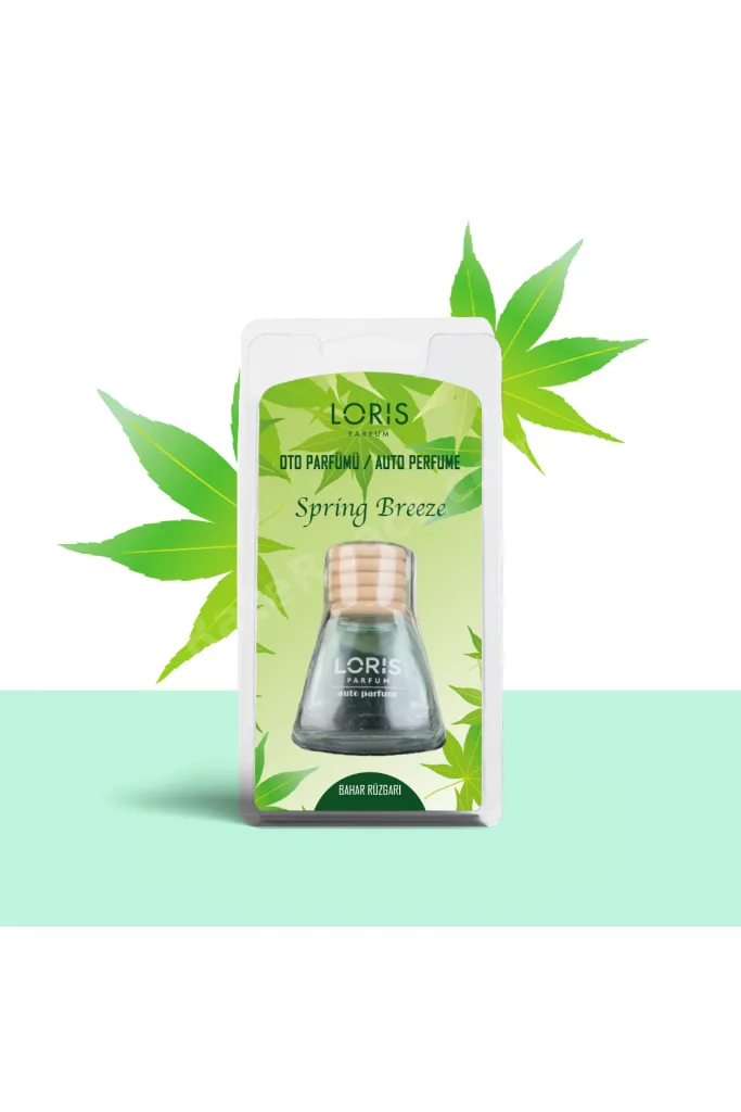 Bahar Rüzgarı Oto Kokusu 9 Ml