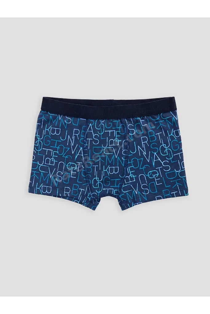 LCW Kids Mavi Erkek Çocuk 3'lü Boxer
