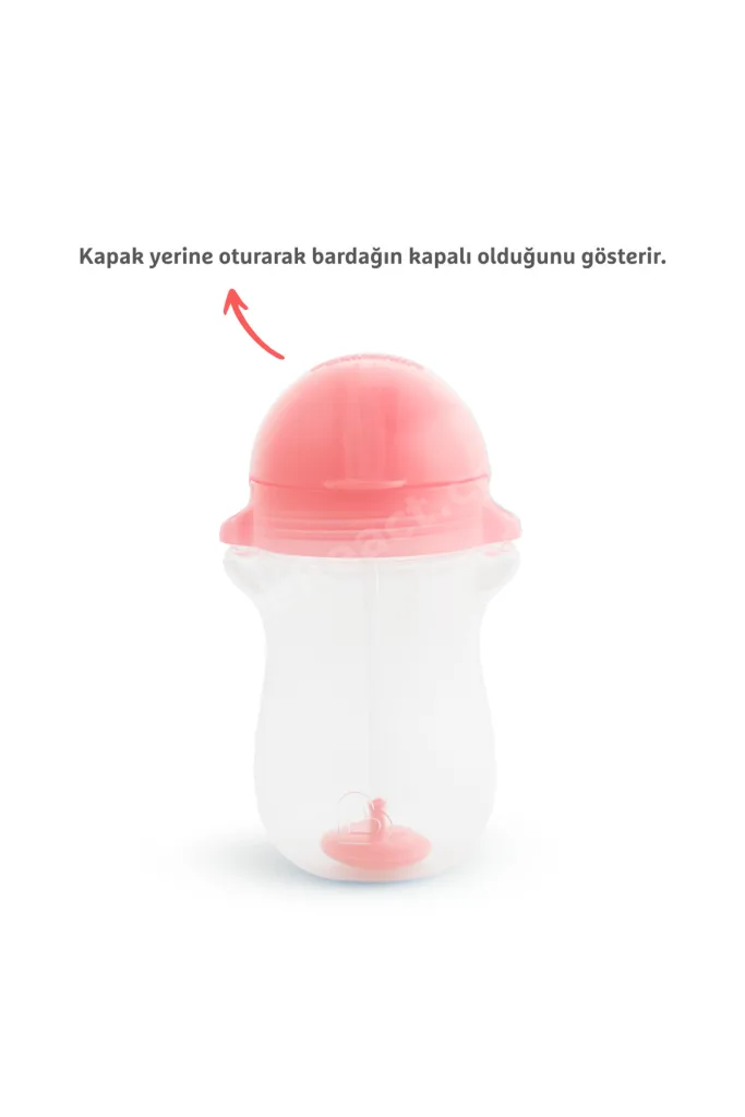 Tıklama Kilitli Uçlu Pipetli Alıştırma Bardağı, 12ay , 296ml, Pembe, 1 Adet