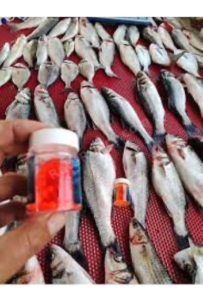 Deniz Ve Tatlı Su Levrek Çupra Alabalık Havyar Silikon Yem Karides Kokulu 6 Mm (90 Adet)