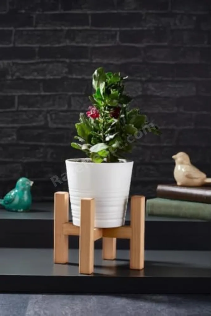 TTKTEKNOLOJİ Mini Saksı Ayağı Saksı Standı 15x11 cm Ahşap Saksılık Kaktüs Sukulent Saksılığı TTKTEKN