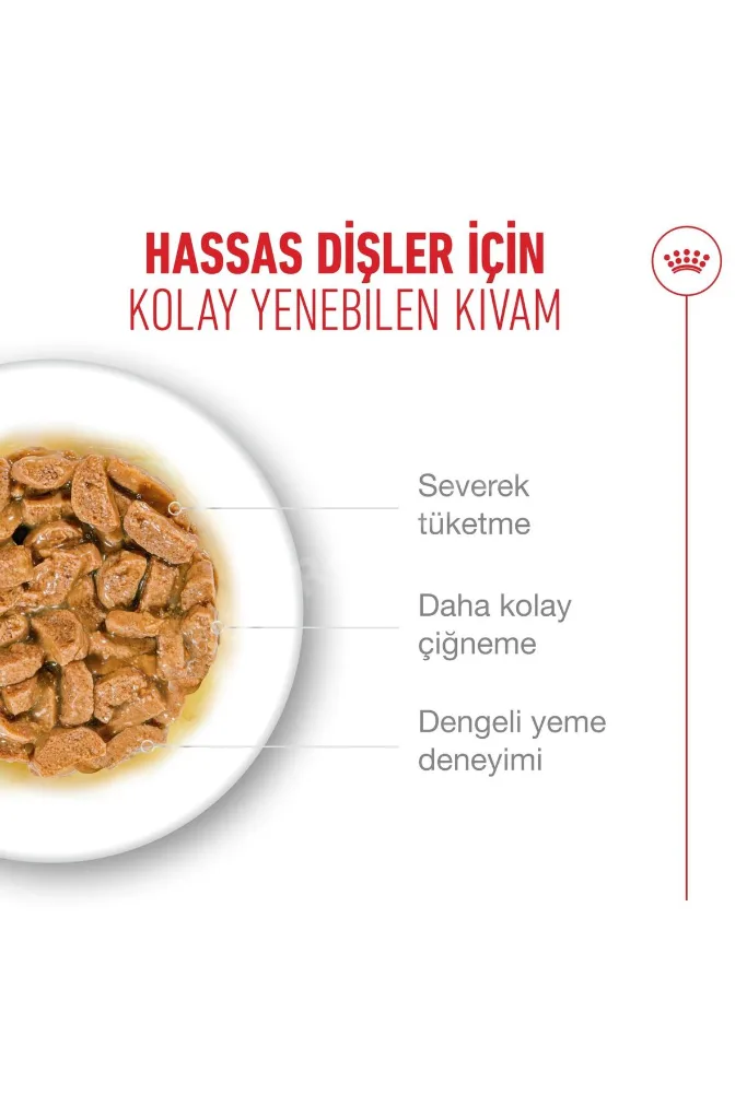 Ageing 11+ Yaşlı Ve Ileri Yaştaki Kedi Yaş Mama 85 gr X 12 Adet Gravy Soslu