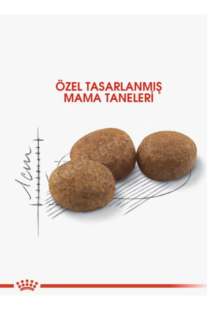 Sterilised 37 Kısırlaştırılmış Yetişkin Kedi Maması 4 Kg