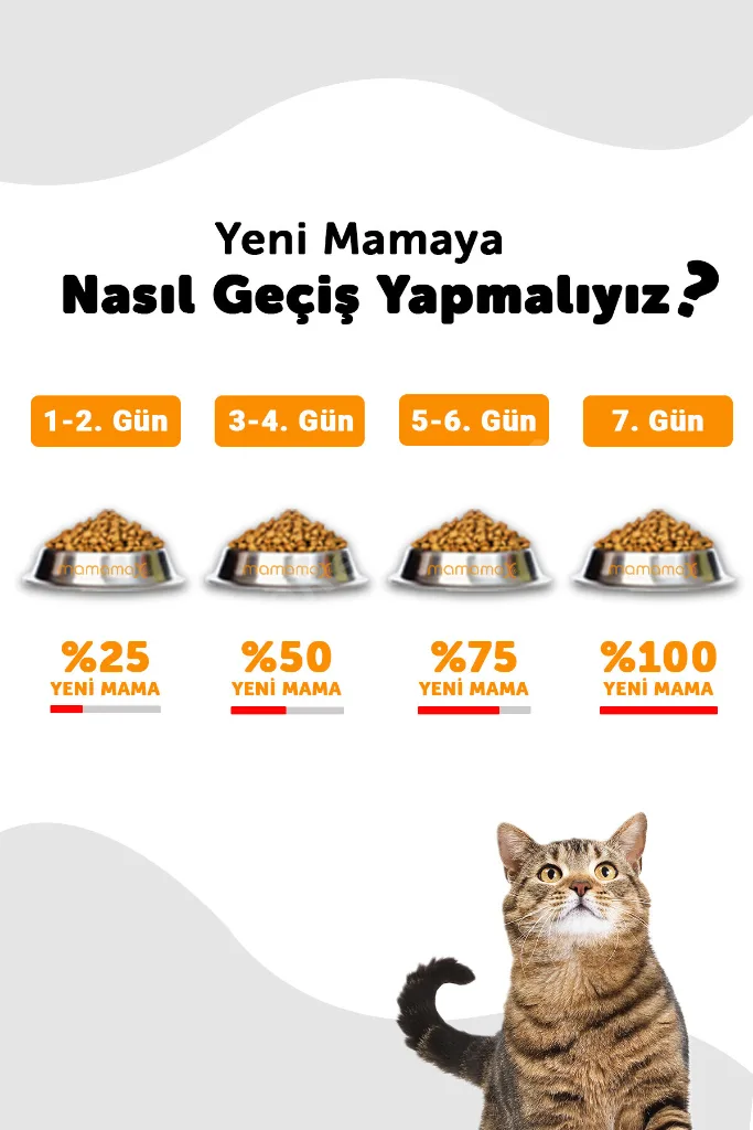 Mother & Baby Kuru Kedi Maması Tavuk Etli 7KG