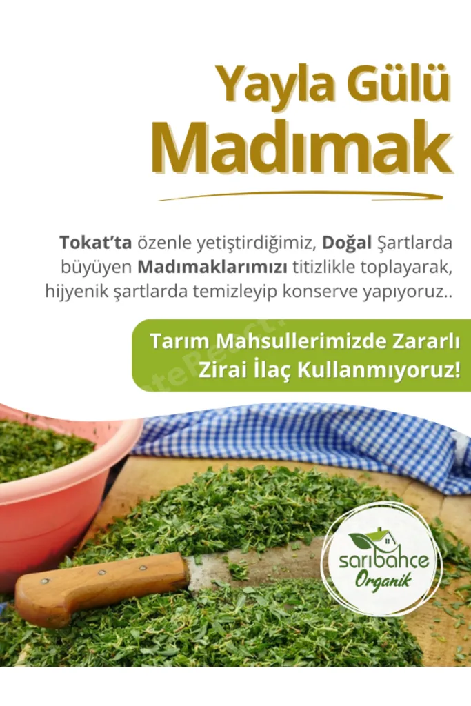 Madımak Konservesi (600 GR) - 2'li Paket Tokat Sivas Amasya Madımak