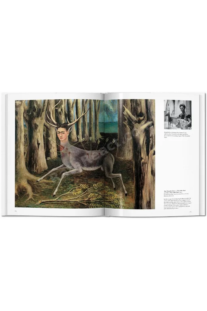 Kahlo - Andrea Kettenmann : Hardcover – Illustrated