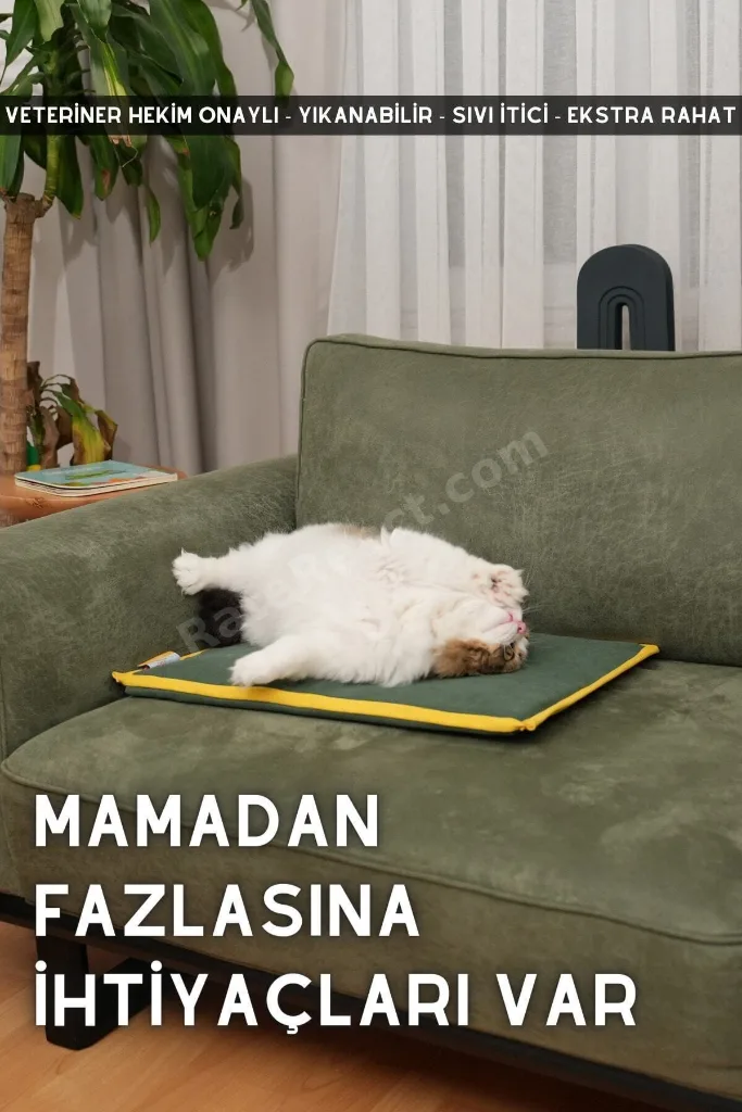 Serin (60X40CM) - 4 Mevsim Kedi/ Köpek Matı, Sıcak Veya Soğuk Kullanılabilen Minder Yatak