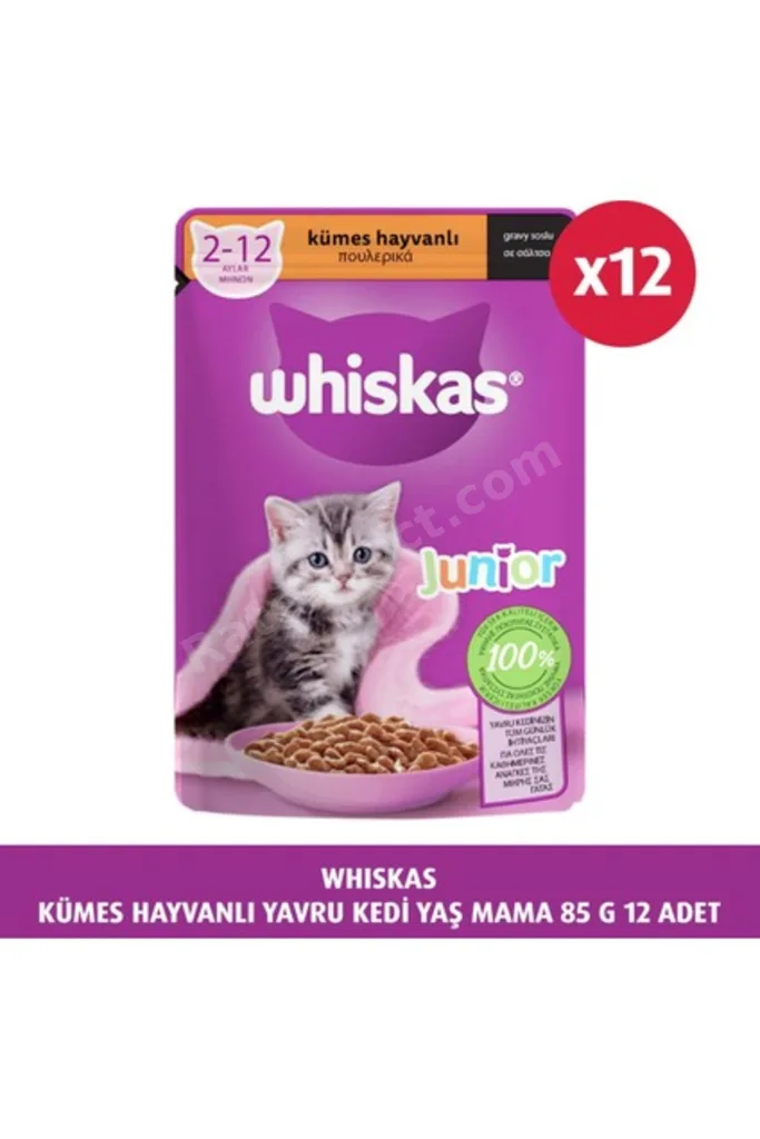 Kümes Hayvanlı Yavru Kedi Yaş Mama 85 G 12X