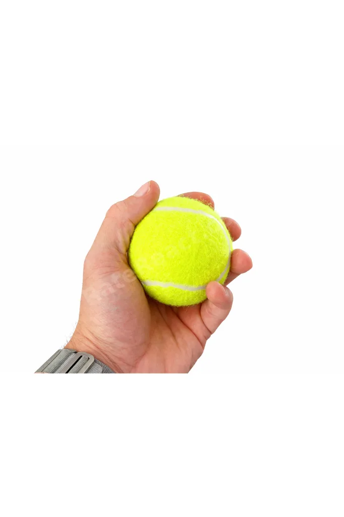 Tenis Topu 3 Adet Antrenman veya Kedi Köpek için