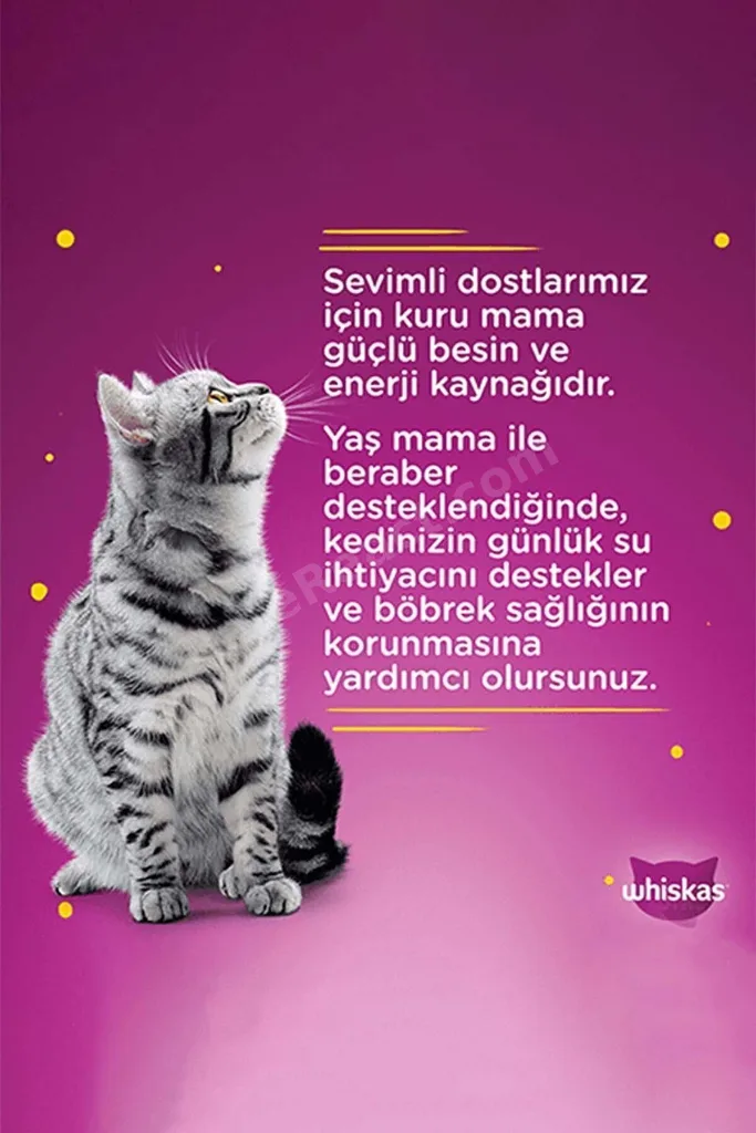 Balık Çeşitli Kedi Maması 4'lü 340 gr 12x
