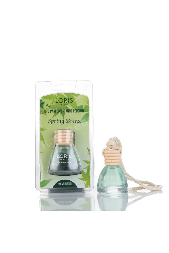 Bahar Rüzgarı Oto Kokusu 9 Ml