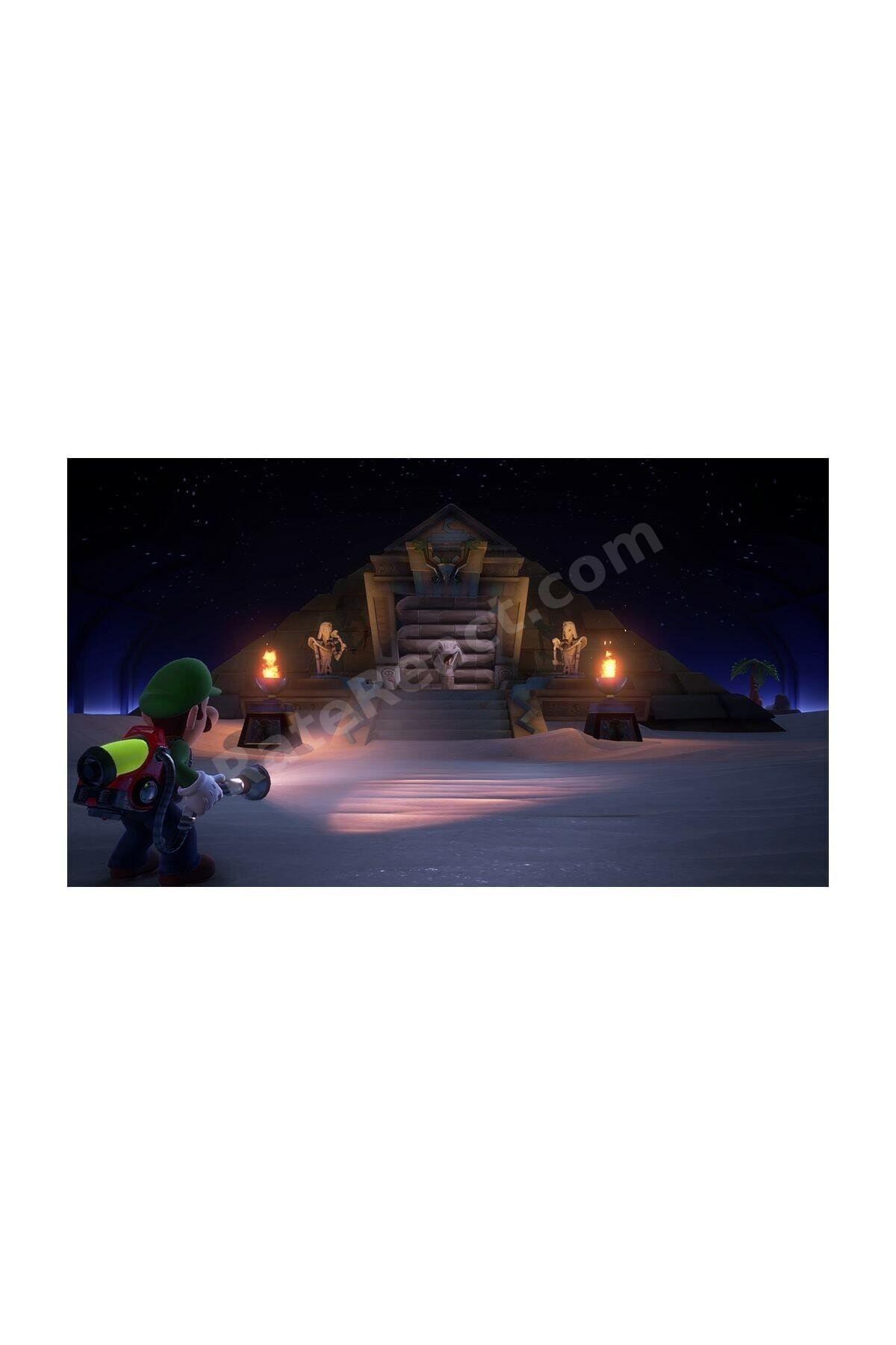 Luigi's Mansion 3 Switch Oyun