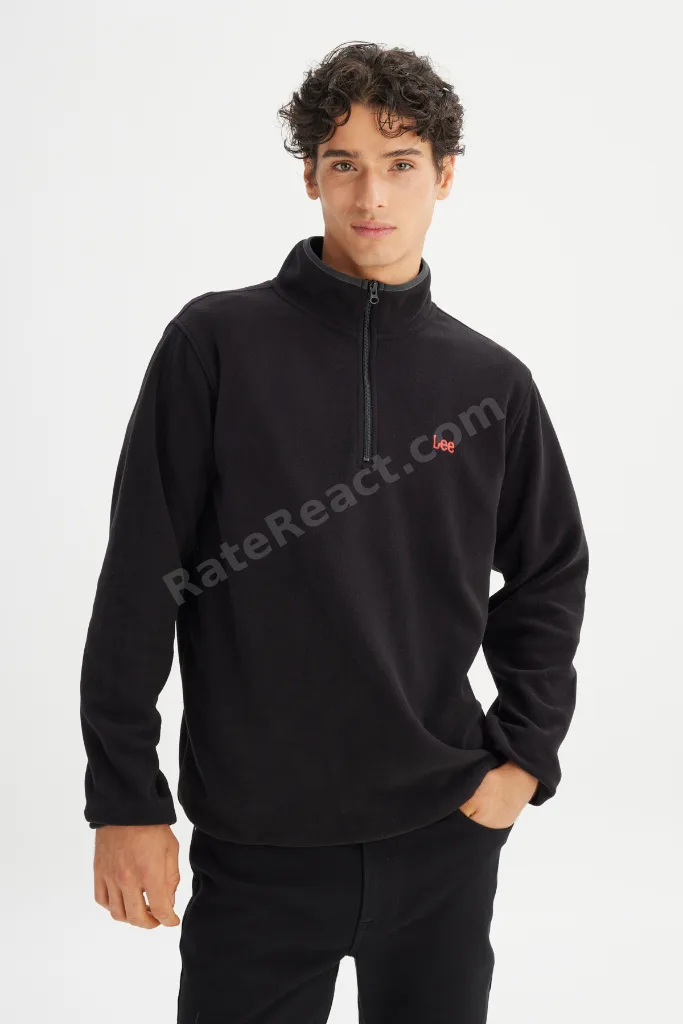 Regular Fit Normal Kesim Dik Yaka Fermuarlı Erkek Siyah Polar