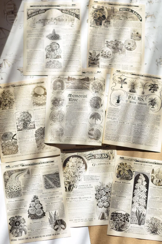 Yapışkanlı Vintage Gazete / Scrapbook & Journal