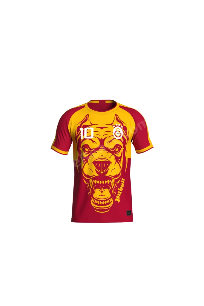 Galatasaray Felipe Melo Legends T-Shirt C232392