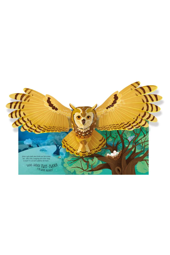 Pop Up Birds Publishing