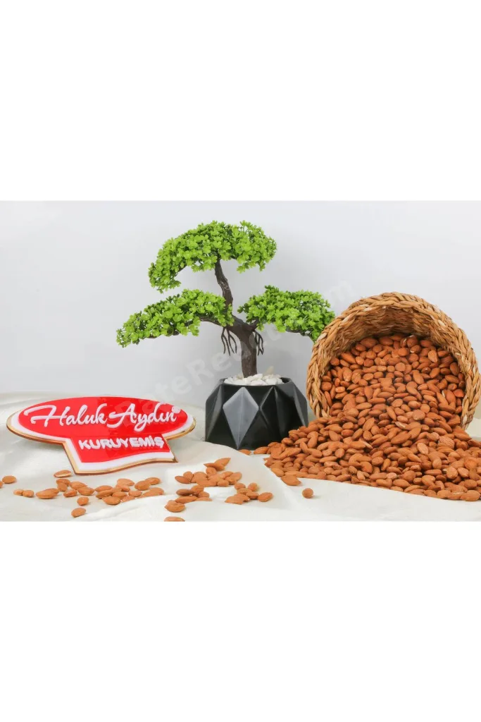 Haluk Aydın Kuruyemiş Çiğ Kayısı Çekirdeği 500 G
