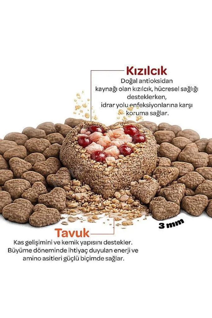 Kitten Tavuklu ve Kızılcıklı Yavru Kedi Maması 2 kg