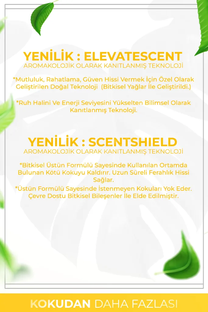 Şeftali Esintisi Çubuklu Oda Kokusu Bambu Kokusu Peach Breeze Reed Diffuser 50ml