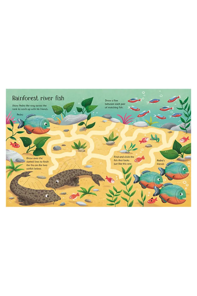 Wipe-Clean Aquarium Activities Publishing
