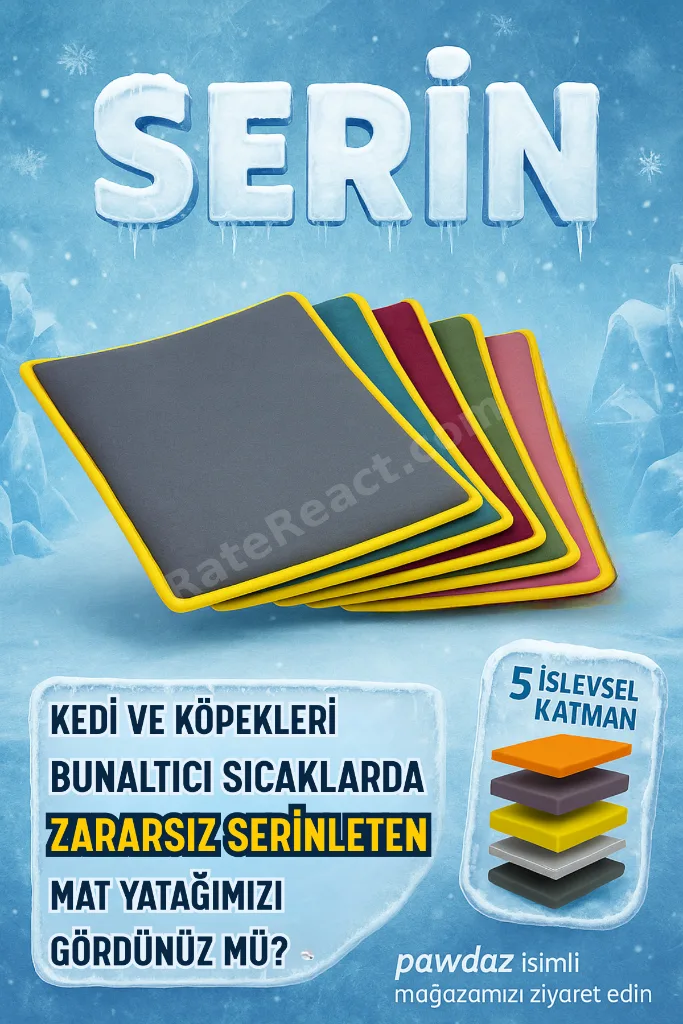 Çift Katlı, Yıkanabilir Kedi ve Köpek Battaniyesi