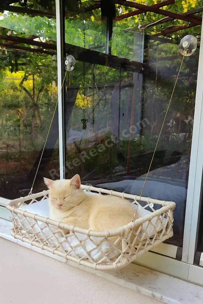 Kedi Köpek Cam Yatağı Vantuzlu Hamak El İşçiliği