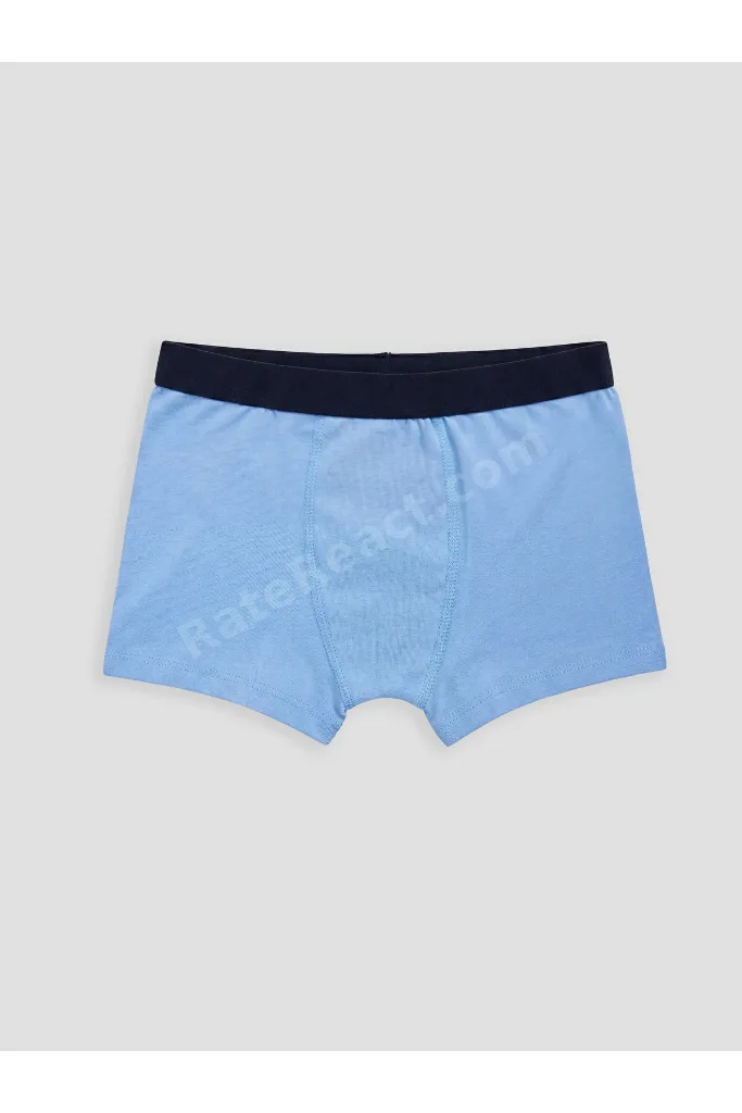 LCW Kids Mavi Erkek Çocuk 3'lü Boxer