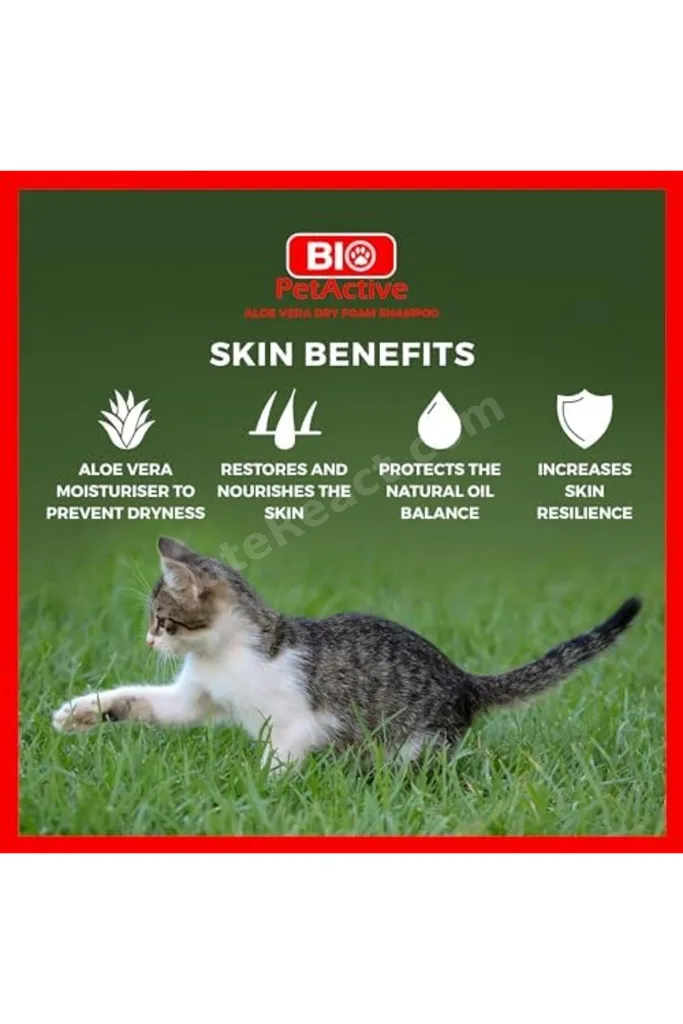 TTKTEKNOLOJİ Bio PetActive Aloevera Özlük Köpekler İçin Köpük Şampuan 200 Ml TTKTEKNOLOJİ 2026 39551