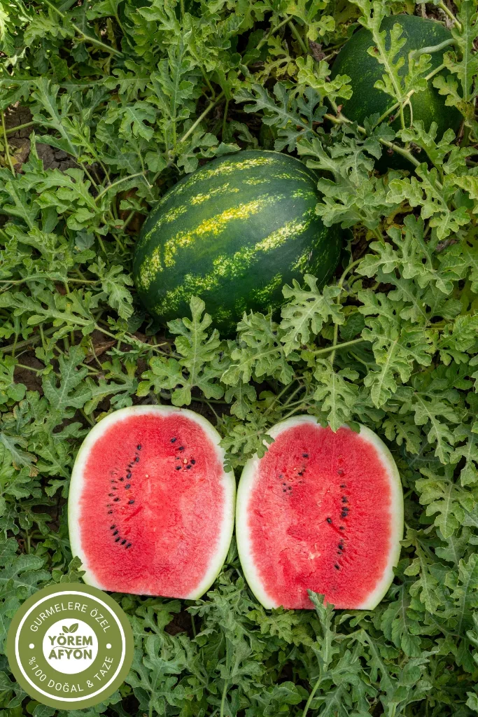 Yörem Afyon Meşhur Diyarbakır El Seçmesi Yakmadan Kavrulmuş Tuzlu Karpuz Çekirdeği | 250Gr.