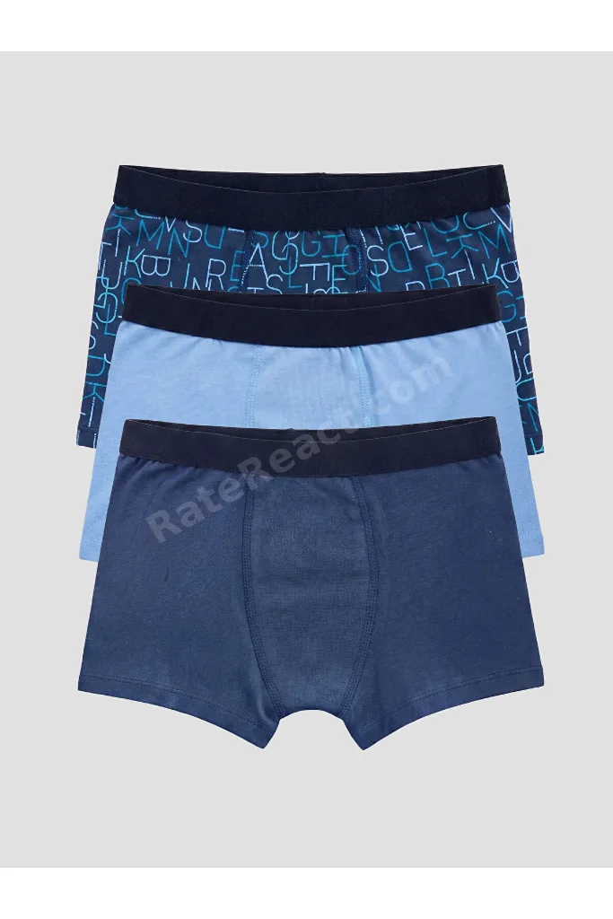 LCW Kids Mavi Erkek Çocuk 3'lü Boxer