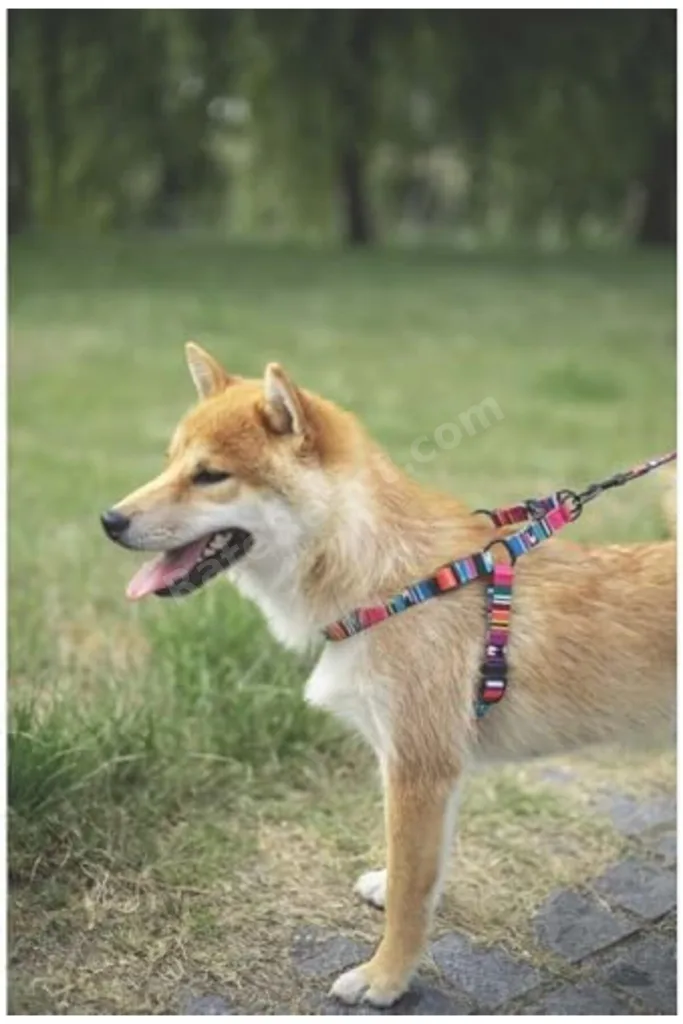 TTKTEKNOLOJİ M-Pets Style Stripes Göğüs Tasması XS (2 paketi) TTKTEKNOLOJİ 2026 395519