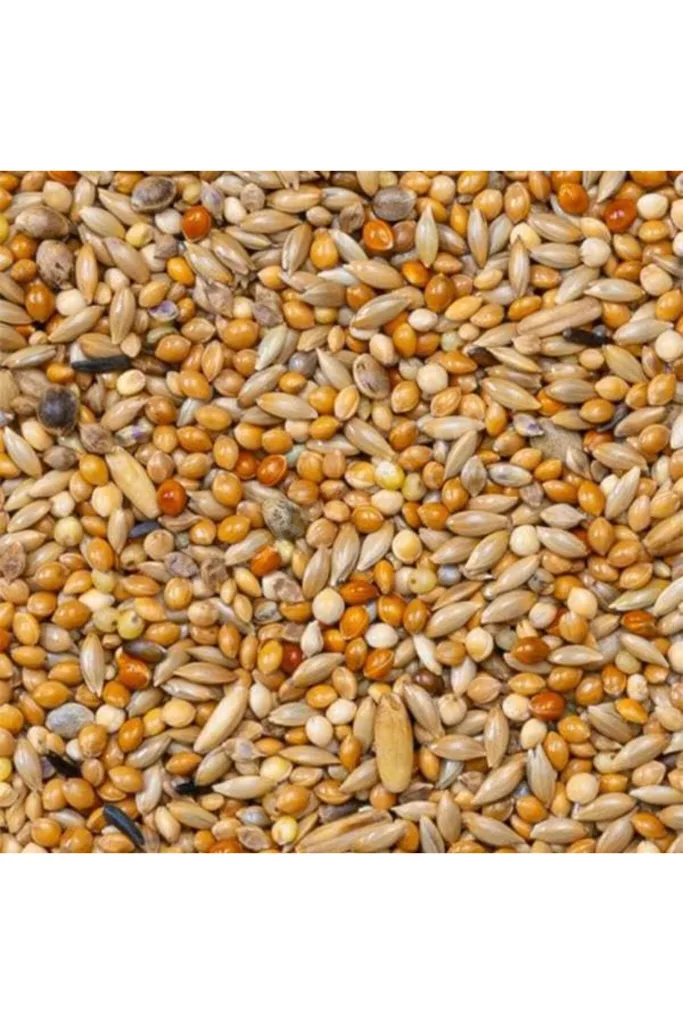 TTKTEKNOLOJİ Deli Premium Budgies Muhabbet Kuş Yemi 1100gr TTKTEKNOLOJİ 2026 395519