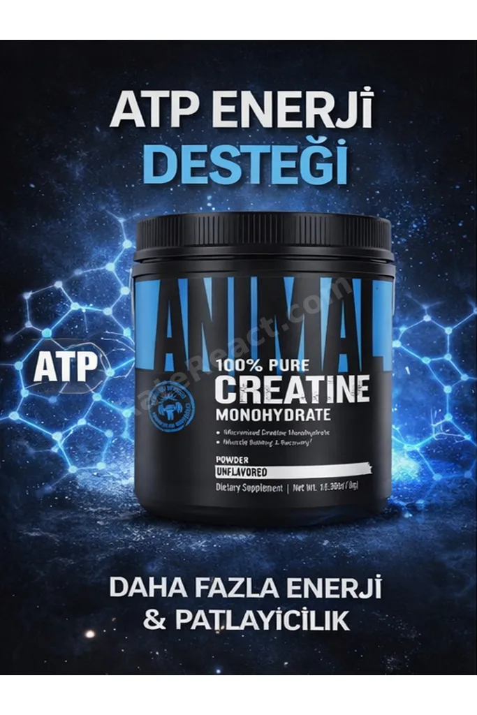 Animal Creatine Monohydrate 300 gr | 60 Servis | Saf Kreatin | Güç &