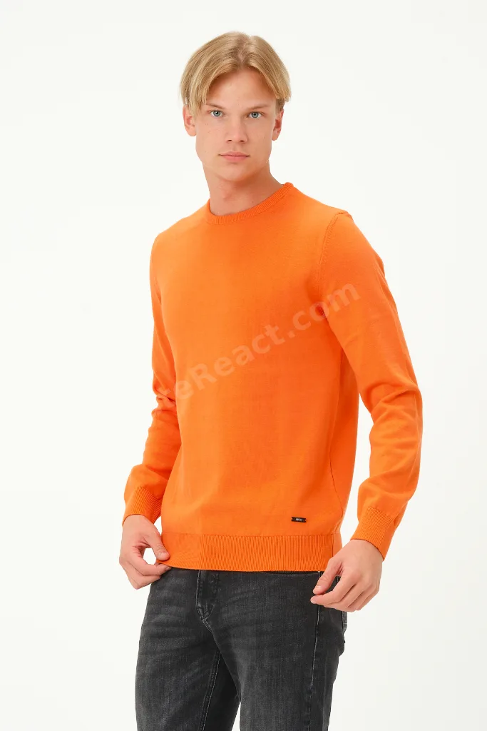 Erkek Uzun Kollu Regular Fit Bisiklet- Sıfır Yaka Triko Kazak Sweatshirt