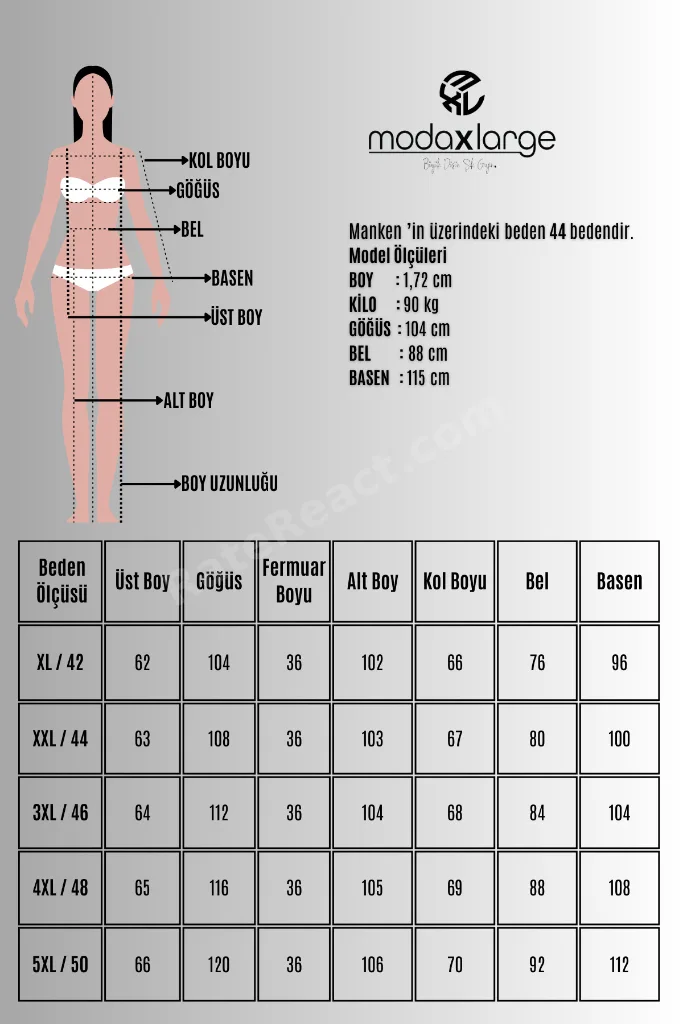 Kadın Büyük Beden Uzun Kollu Yarım Fermuarlı Modal Kumaş Eşofman Takımı 8243-26