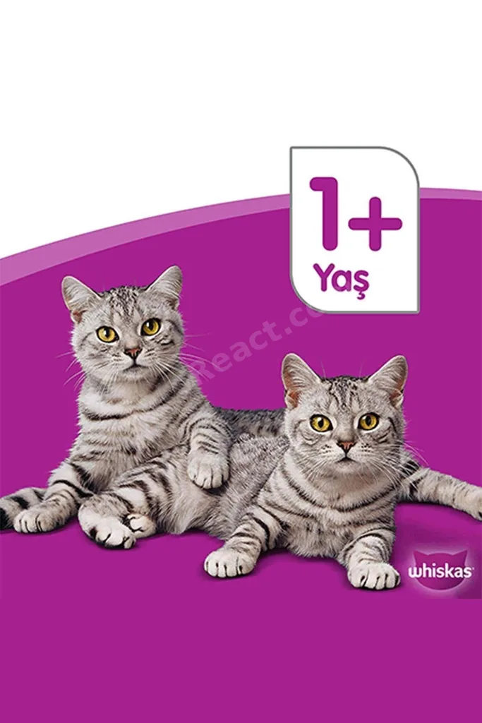 Balık Çeşitli Kedi Maması 4'lü 340 gr 12x